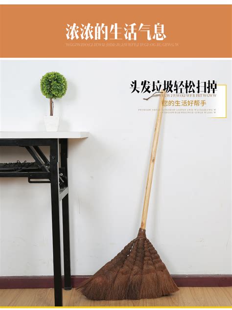 扫走|扫帚 : broom... : sào zhou 